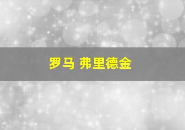 罗马 弗里德金